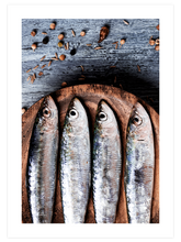 Balık - Art Print